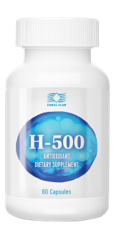 H-500